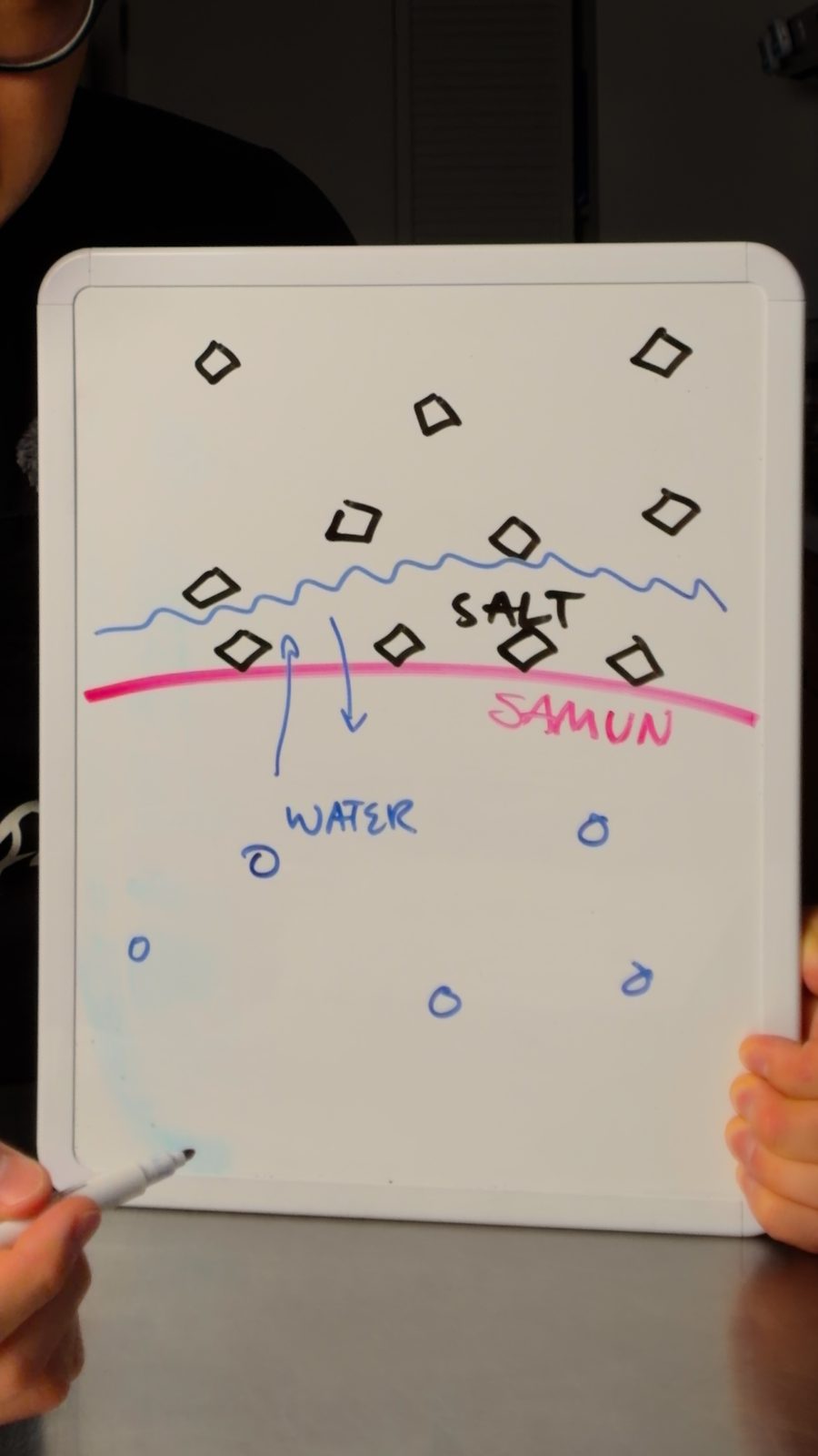 A whiteboard drawing showing salt above a line and water below it, with arrows showing water being pulled toward the salt