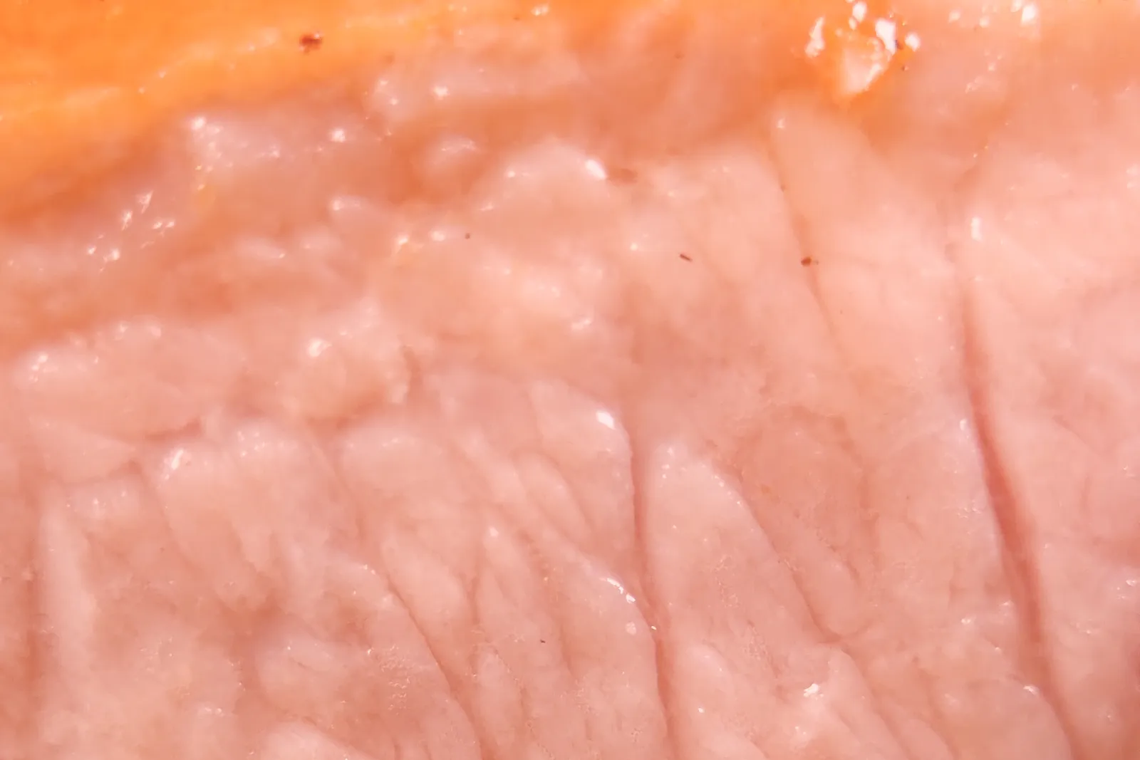 Extreme close-up of a cooked pork chop cross-section, juicy with a blush of pink and a seared crust