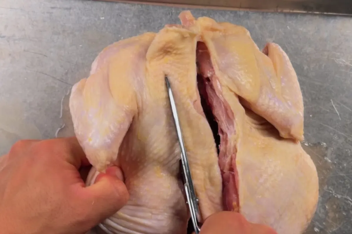 Kitchen shears cutting out the chicken backbone to spatchcock it