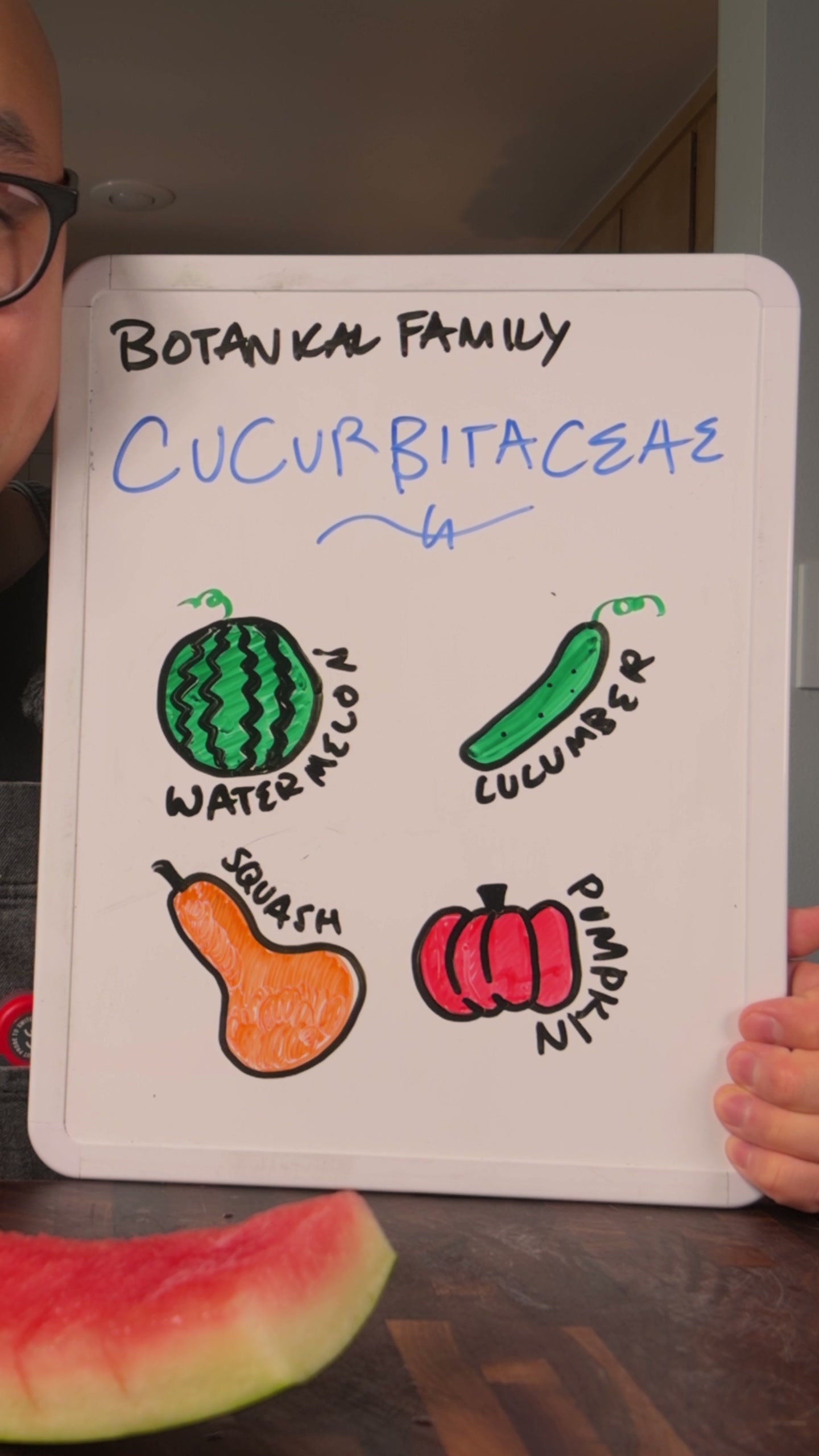 Whiteboard showing the Cucurbitaceae family: watermelon, cucumber, squash, and pumpkin.