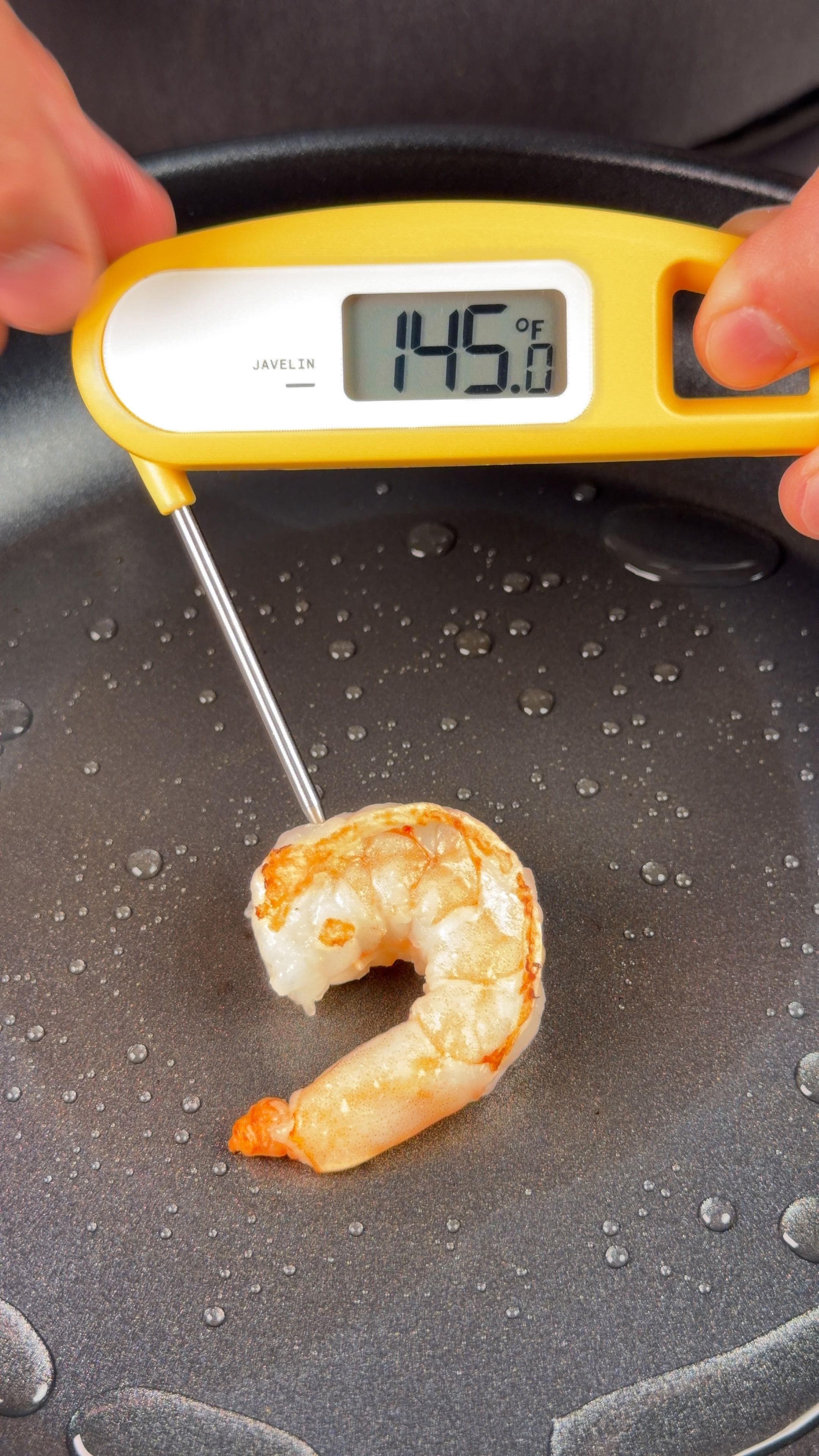 Lavatools Javelin thermometer reading 145°F in a shrimp